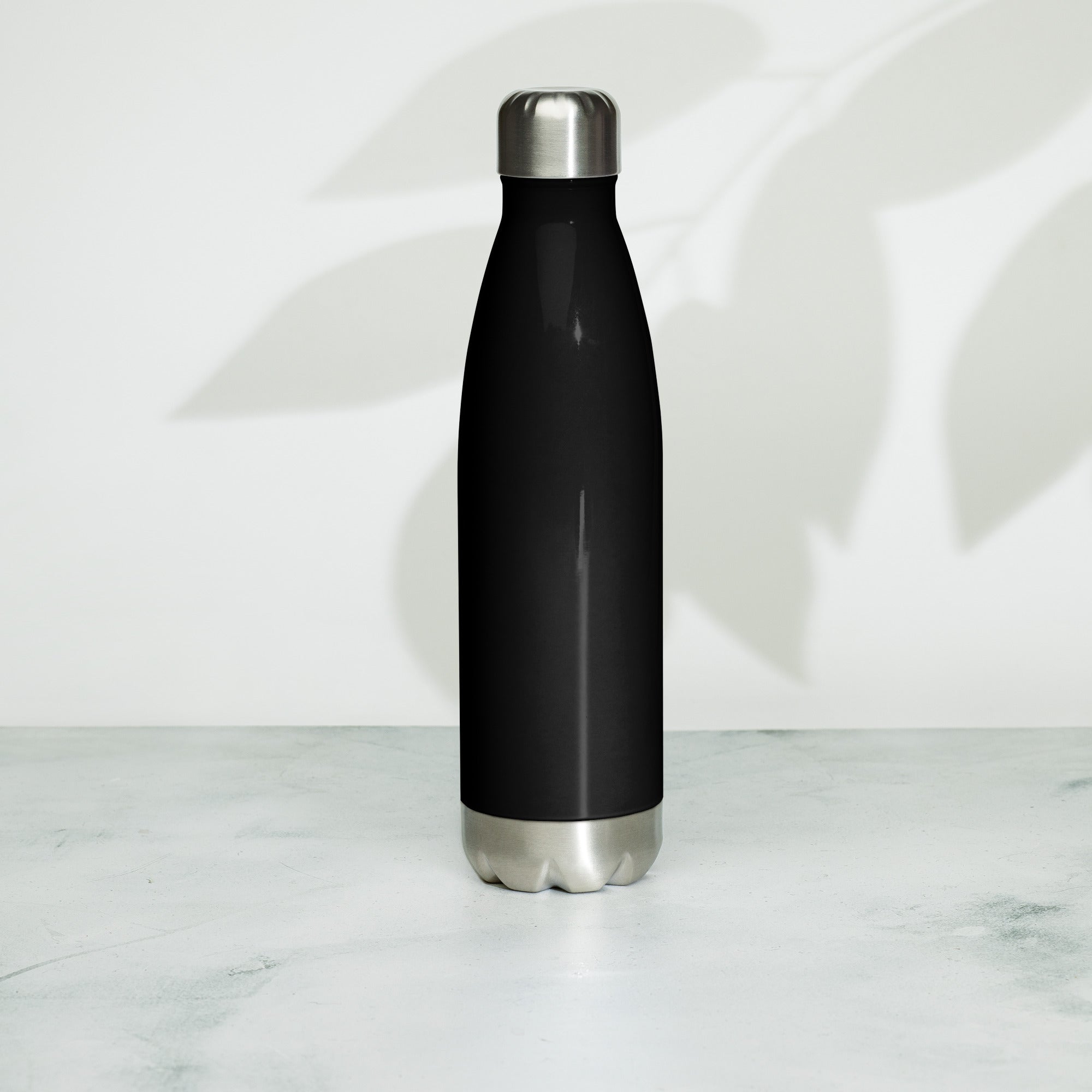 Stainless Steel Water Bottle