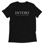 Soft Style Tri-Blend T-Shirt