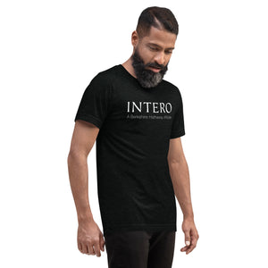 Soft Style Tri-Blend T-Shirt